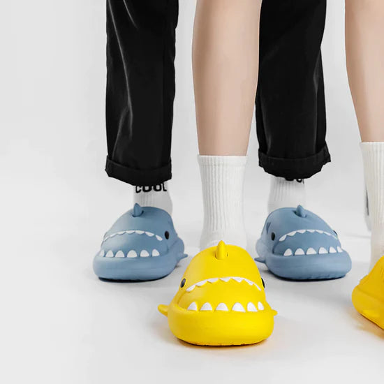 sharkslides™ winter